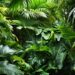 NaturaPlug.com: Your Ultimate Destination for Natural & Sustainable Living