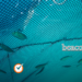 What Is Beacoonsoft.net? Everything You Need to Know