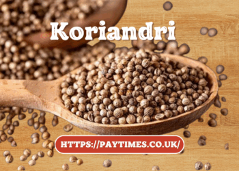 Koriandri