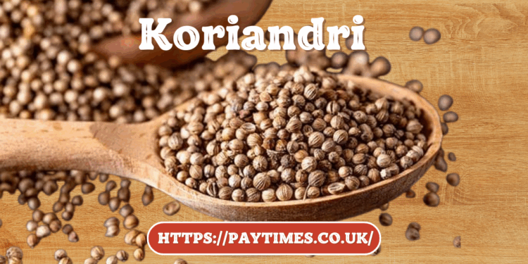 Koriandri