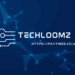 TechLoomz com