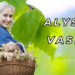 Alysia Vasey: The Woman Revolutionizing the World of Foraging