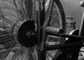 The Best Fan Manufacturers and What Makes Them Unique