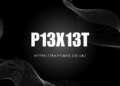 p13x13t