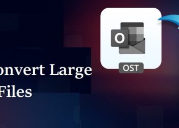 How to Convert Large-Sized OST File?