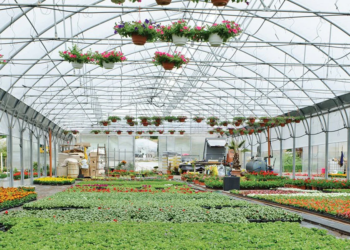Crucial Things to Think About When Building Your First Greenhouse