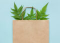 How paper packaging supports a greener planet and why paper bags are everywhere