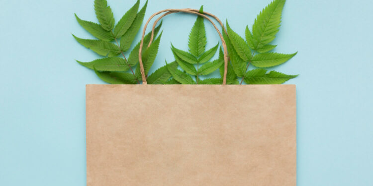How paper packaging supports a greener planet and why paper bags are everywhere
