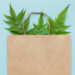 How paper packaging supports a greener planet and why paper bags are everywhere