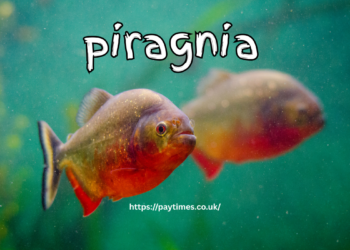 piragnia