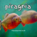 piragnia