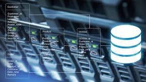 Building Local Business Databases That Actually Drive Growth