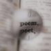 Poem Generator allows you to instantly compose poems.
